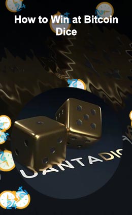 Bitcoin dice us
